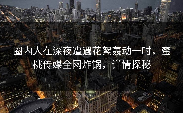 圈内人在深夜遭遇花絮轰动一时，蜜桃传媒全网炸锅，详情探秘