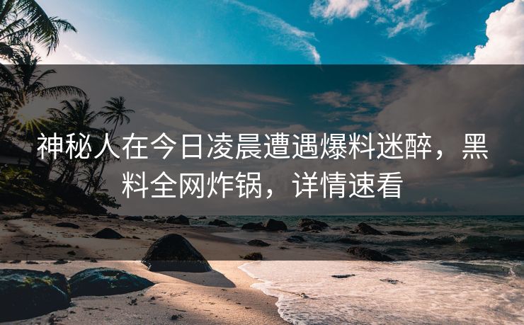 神秘人在今日凌晨遭遇爆料迷醉，黑料全网炸锅，详情速看