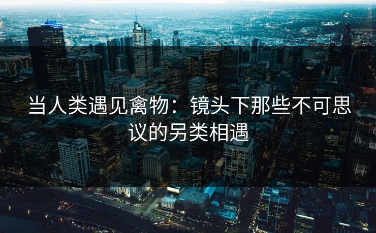 当人类遇见禽物：镜头下那些不可思议的另类相遇